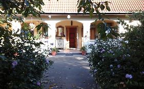 Dutch Farm In Felsolajos